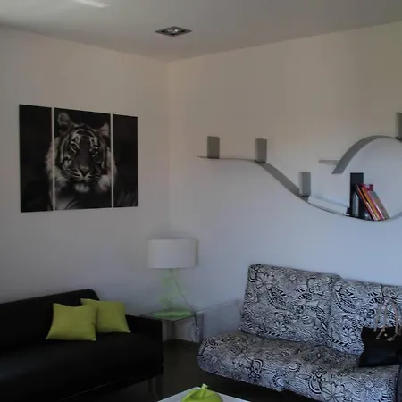 La Corse Les Pieds Dans L'eau