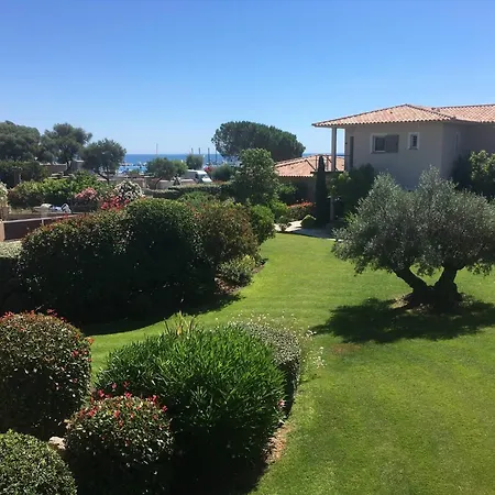 La Corse Les Pieds Dans L'eau