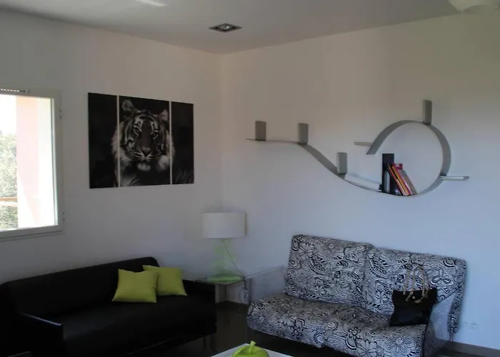 La Corse Les Pieds Dans L'eau