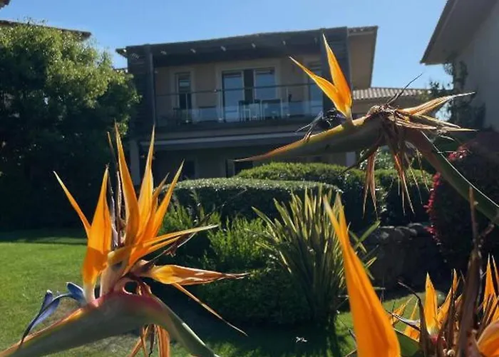 La Corse Les Pieds Dans L'eau *